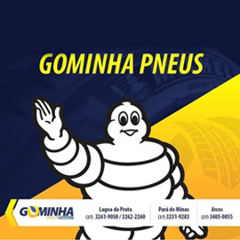 GOMINHA PNEUS